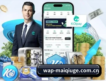买球站 APP