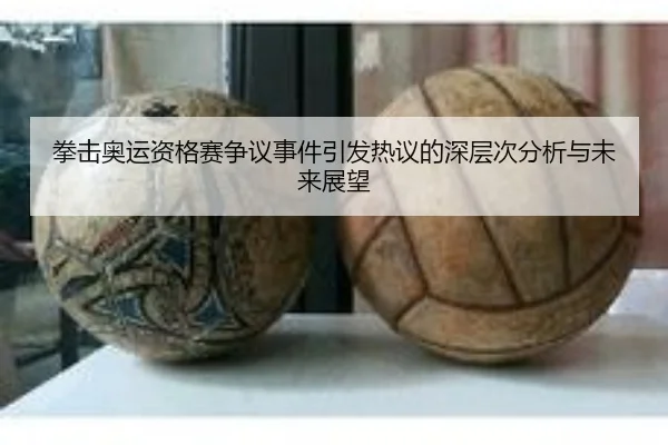 拳击奥运资格赛争议事件引发热议的深层次分析与未来展望