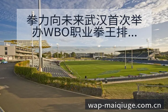 拳力向未来武汉首次举办WBO职业拳王排名变化与后续走势技 - 买球站
