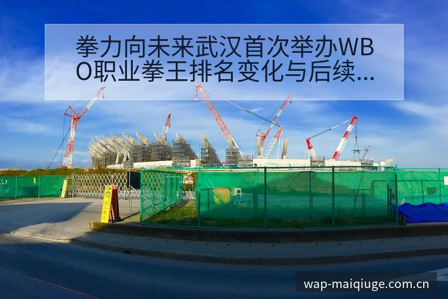 拳力向未来武汉首次举办WBO职业拳王排名变化与后续走势技 - 买球站