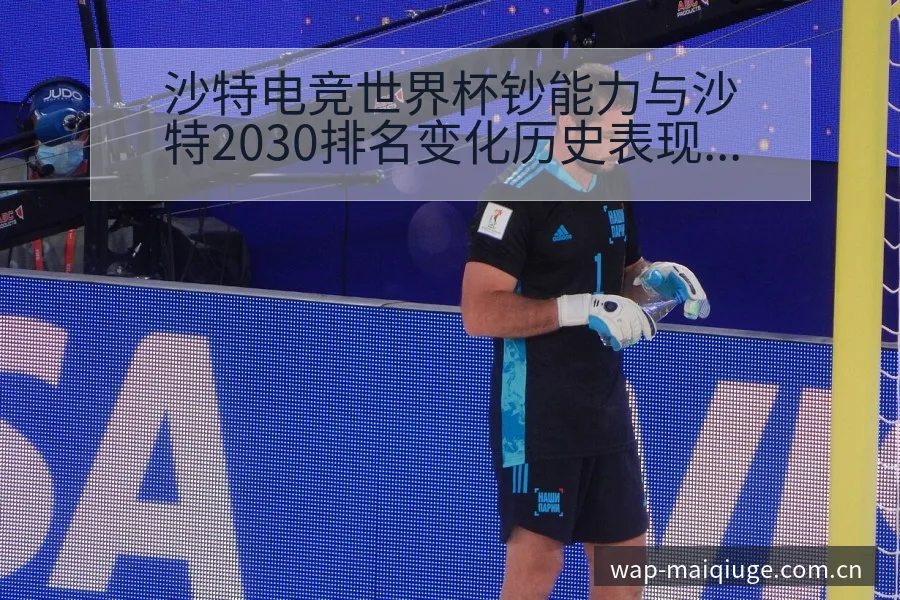 沙特电竞世界杯钞能力与沙特2030排名变化历史表现分析 - 买球站